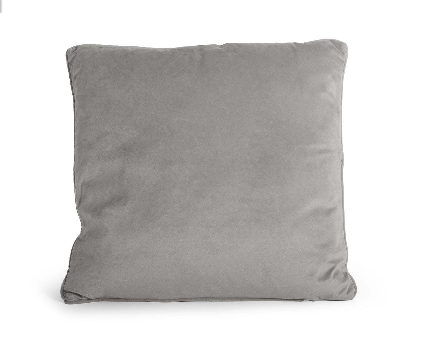 Velvet sierkussen