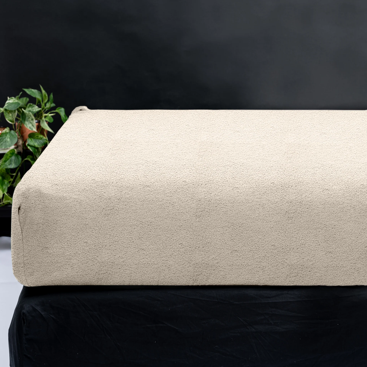 Zacht Vandaag, Nog Zachter Morgen