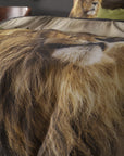 Lion Mind