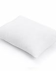 Pillow 4D Microgel
