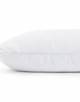 Pillow 4D Microgel